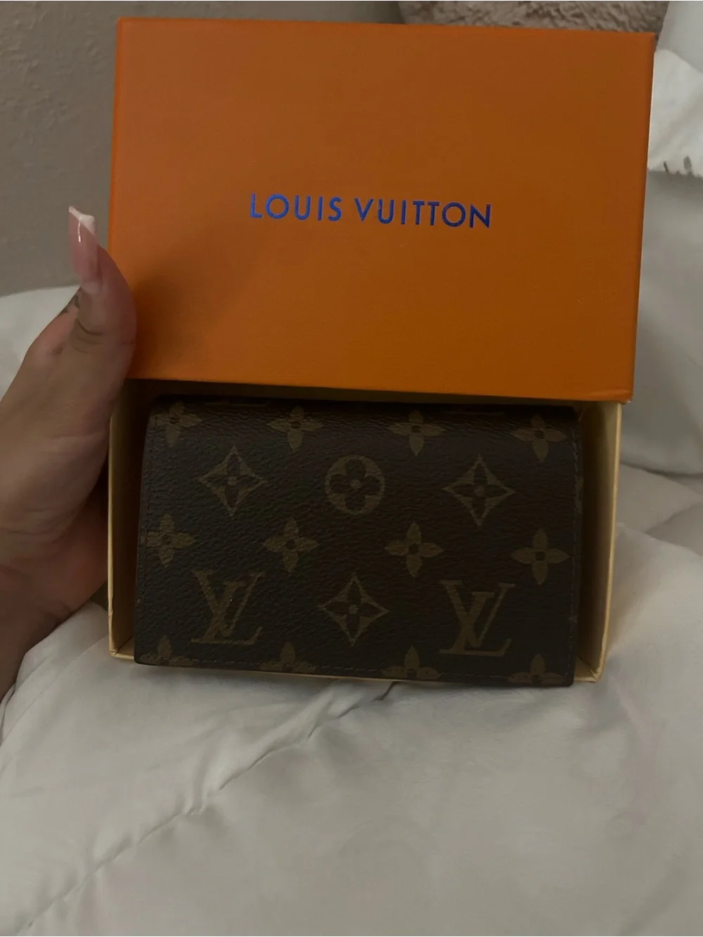 Louis Vuitton Wallet